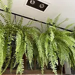 Ihostel Aldeota